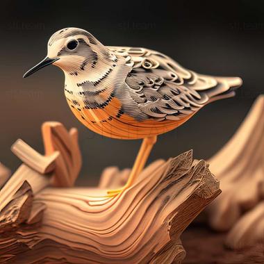 3D модель Dotterel (STL)